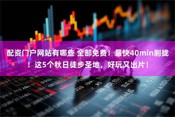 配资门户网站有哪些 全部免费!最快40min刹拢!这5个秋日徒步圣地,好玩又出片!